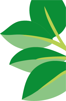 Leaf left